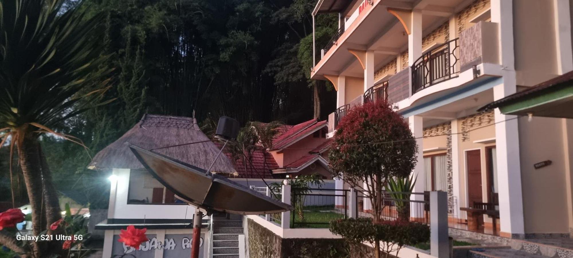 Bajawa-Roo Hotel 外观 照片