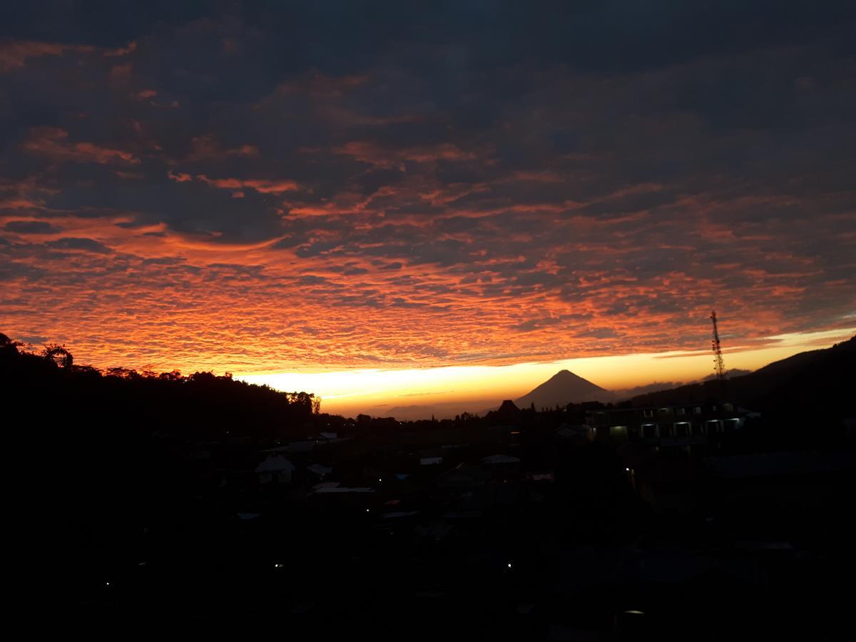 Bajawa-Roo Hotel 外观 照片